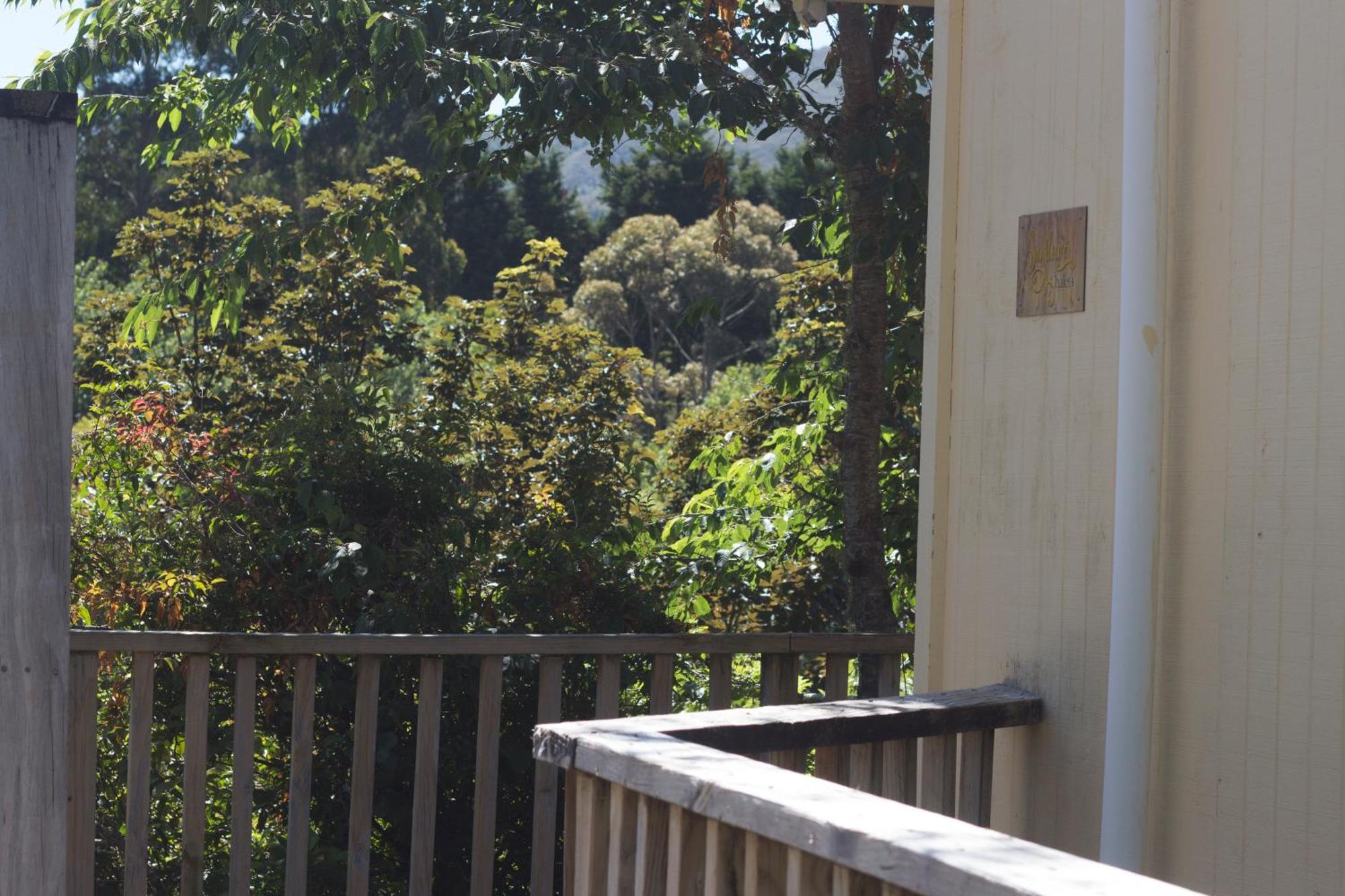 Aston Norwood Chalets Upper Hutt Zewnętrze zdjęcie